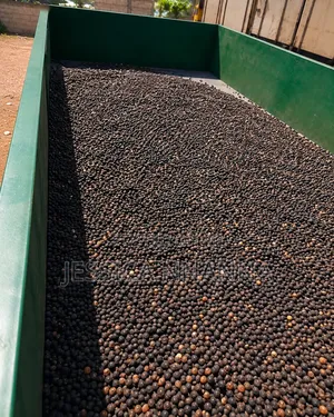 1 Ton Palm Kernel Toaster