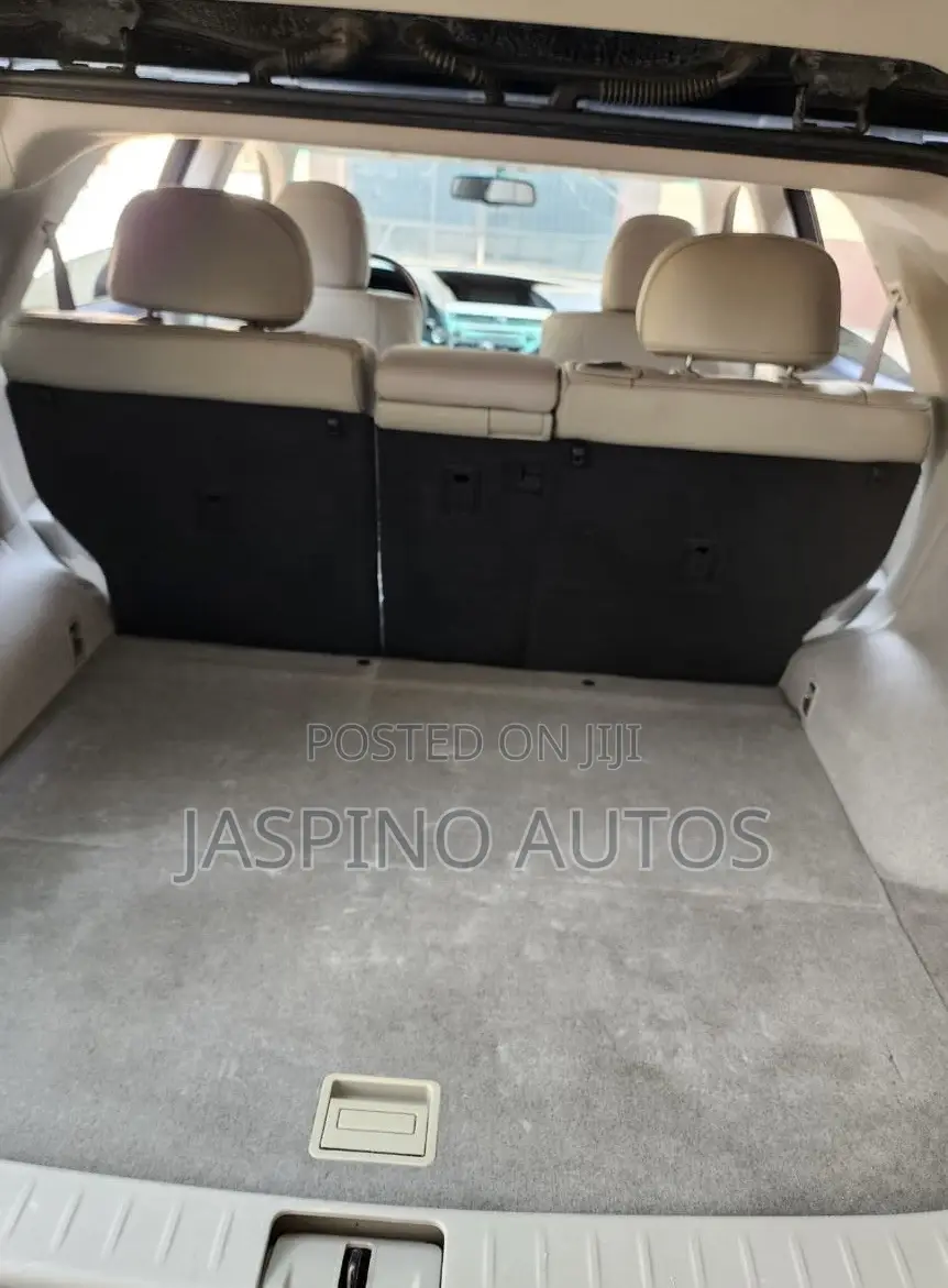 Lexus RX 2010 Gray