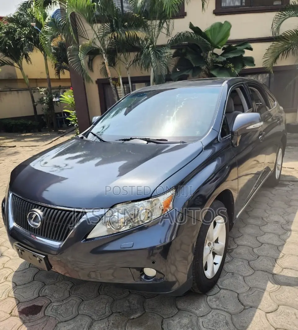 Lexus RX 2010 Gray