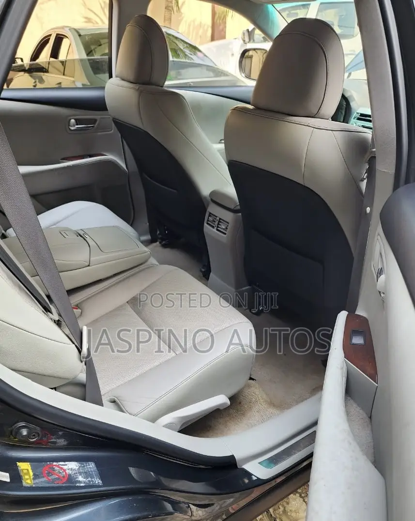 Lexus RX 2010 Gray