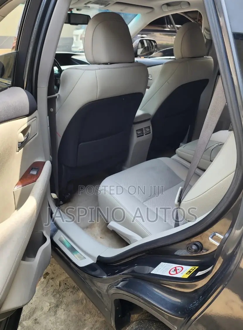 Lexus RX 2010 Gray