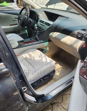 Lexus RX 2010 Gray