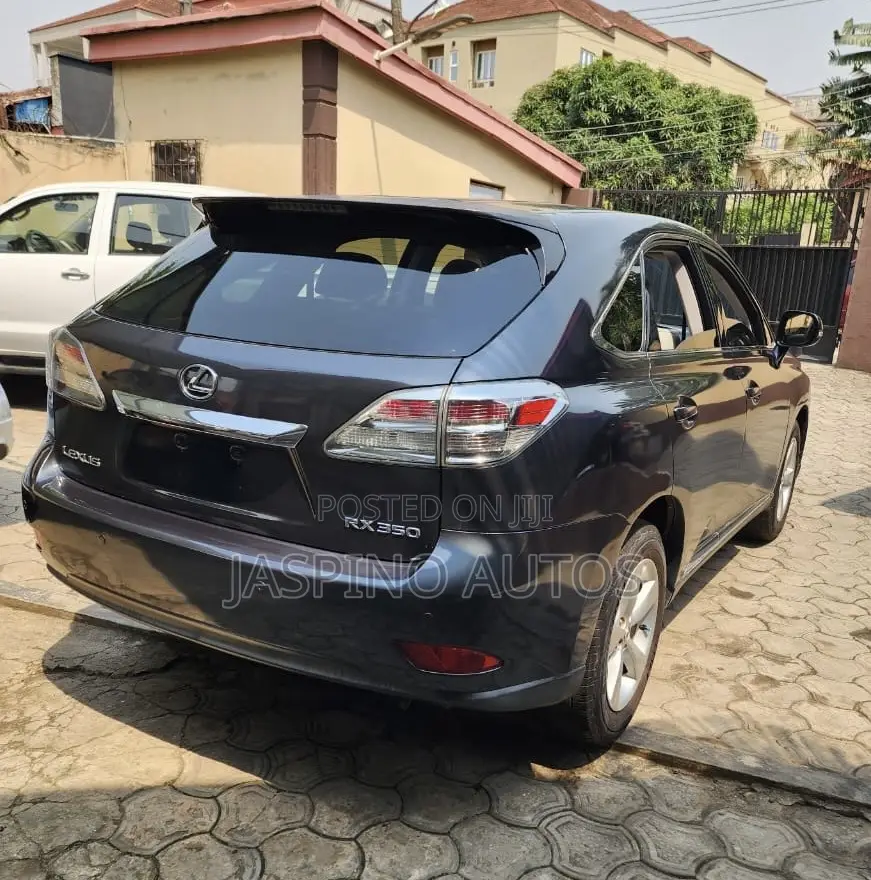 Lexus RX 2010 Gray