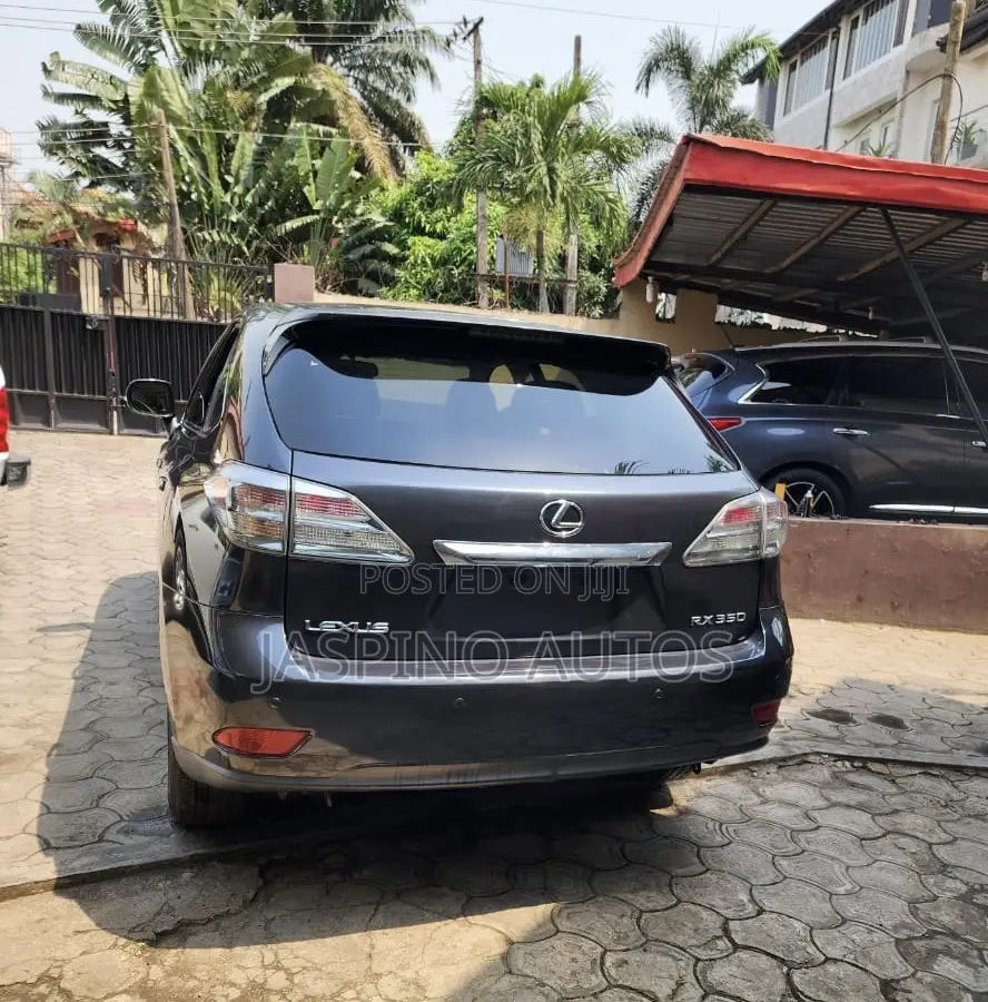 Lexus RX 2010 Gray