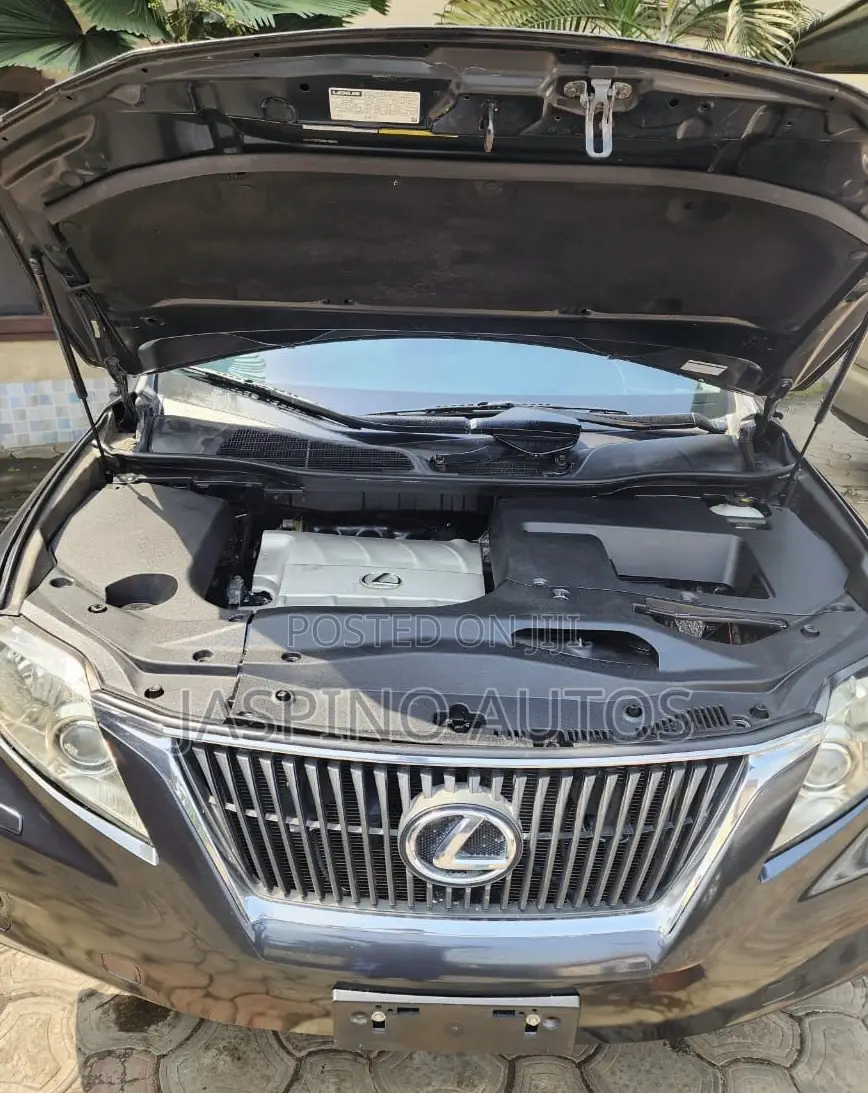 Lexus RX 2010 Gray