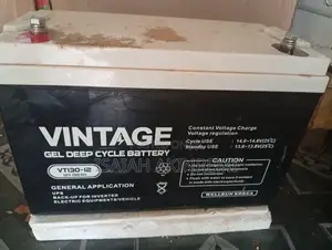 Vintage Deep Cycle Battery