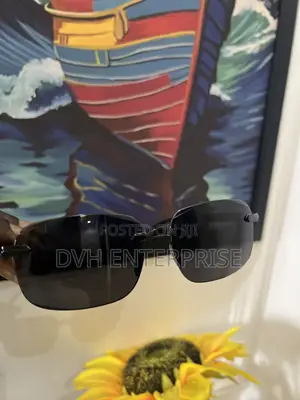 Black Tint Sunglasses
