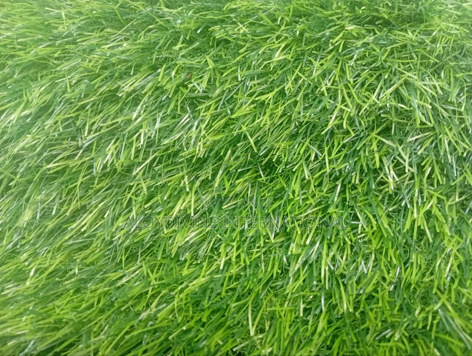 Quality Standard Artificial Grass 45mm