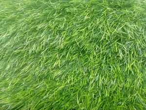 Quality Standard Artificial Grass 45mm