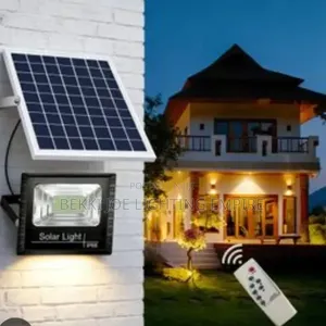 Seperate Panel Solar Lamp for Security