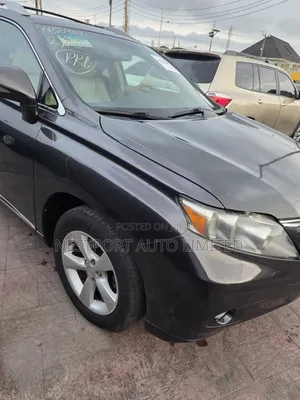 Lexus RX 2010 Gray 