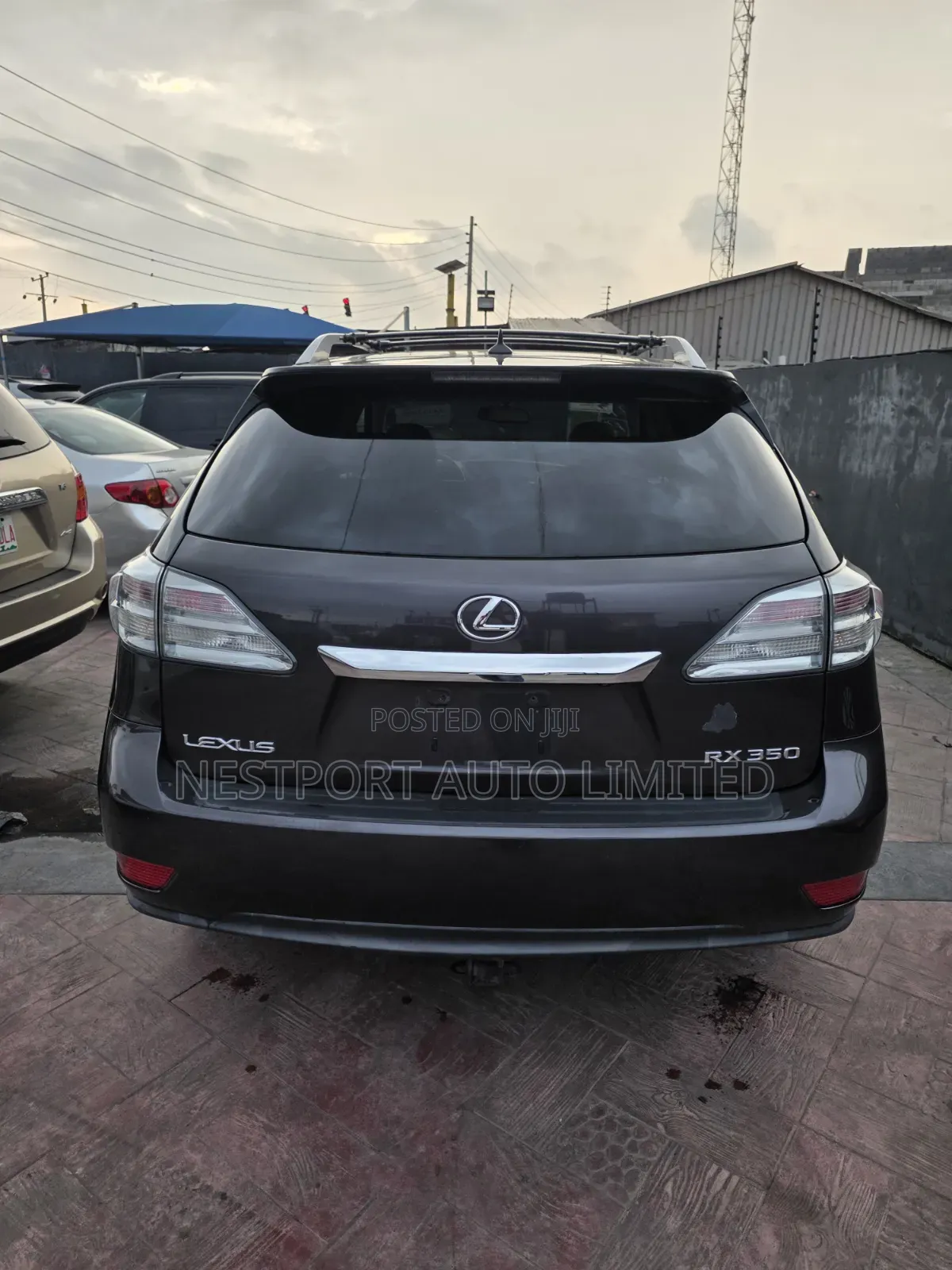 Lexus RX 2010 Gray 