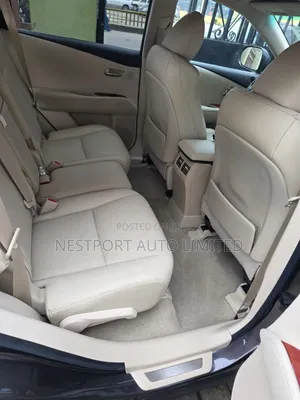 Lexus RX 2010 Gray 