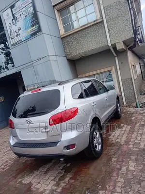 Hyundai Santa Fe 2009 Silver