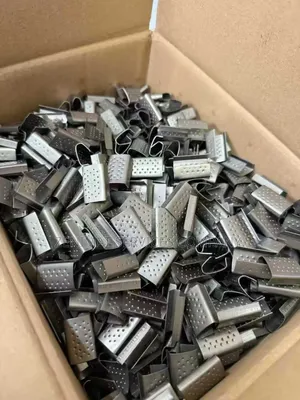 Pet Belt Clamping Metal Buckle/Clips