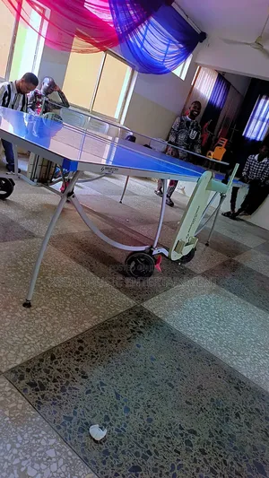 Table Tennis for Rent