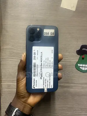 Apple iPhone 12 Pro Max 256 GB Blue