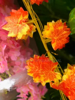 Dropping Flower