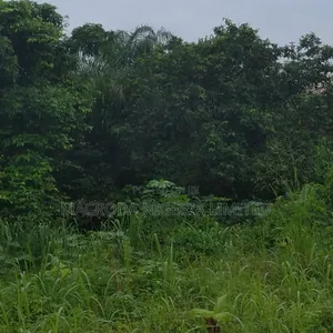Commercial Land Available for Sale
