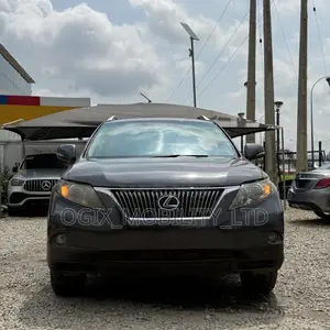 Lexus RX 350 2010 Gray