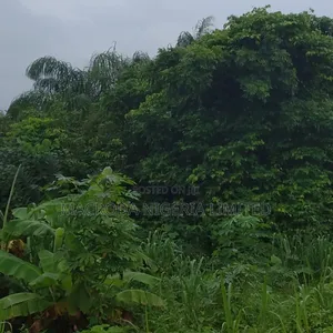 Prime Land at Victoria Island