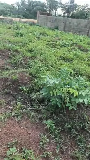 Plot of Land for Sale