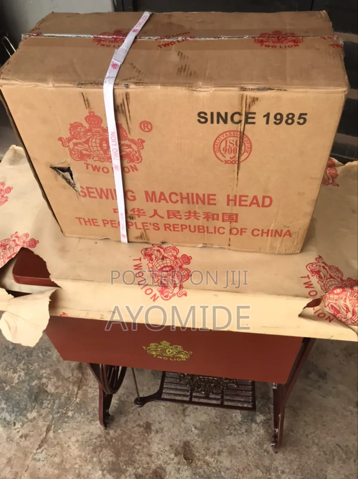 Two Lion Sewing 2