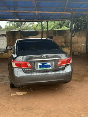 Lexus ES 350 2008 Gray