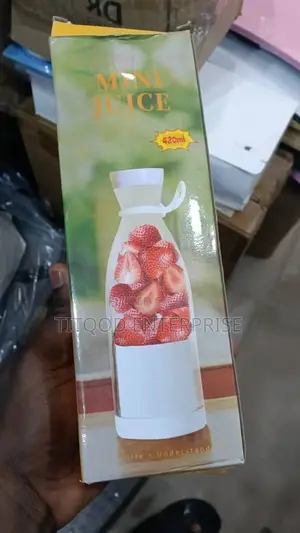 Mini Juicer
