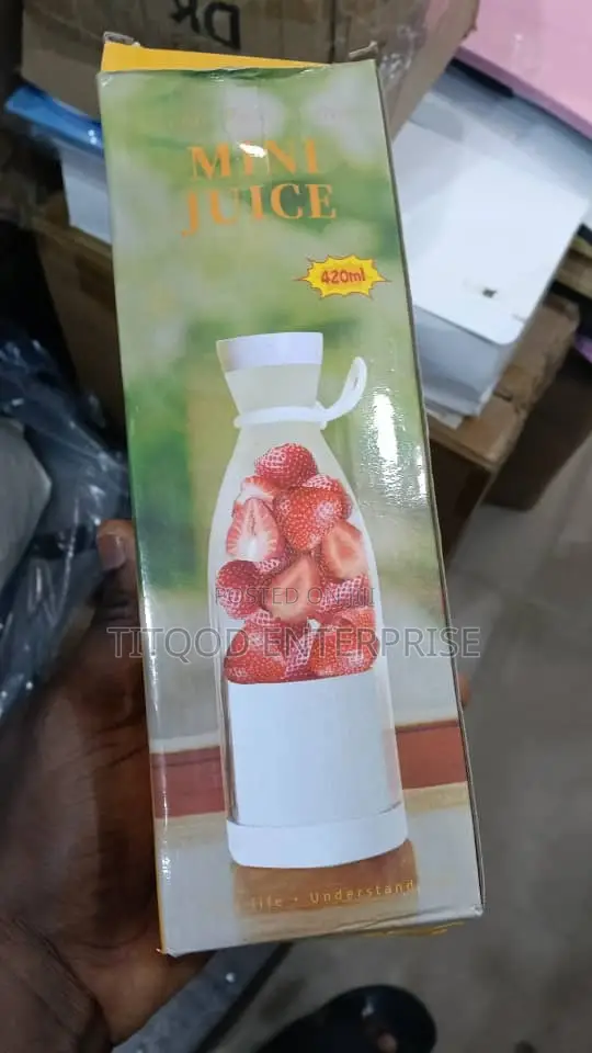 Mini Juicer