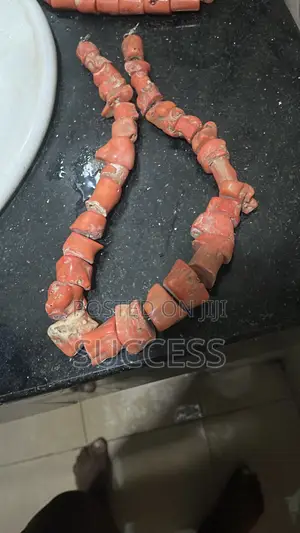 My Original Coral Beads