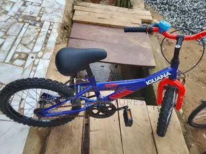 Children Bicycle Size 18, From Age 5 to 8 Years