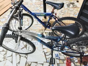 Big Boys Bicycle Size 24