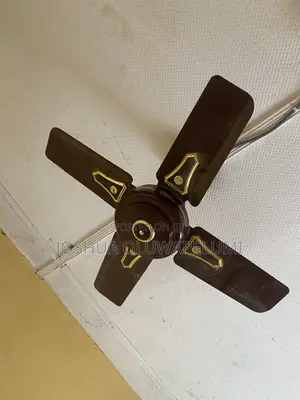 Used Summer Delite Short Blade Ceiling Fan (24/25 Inches)