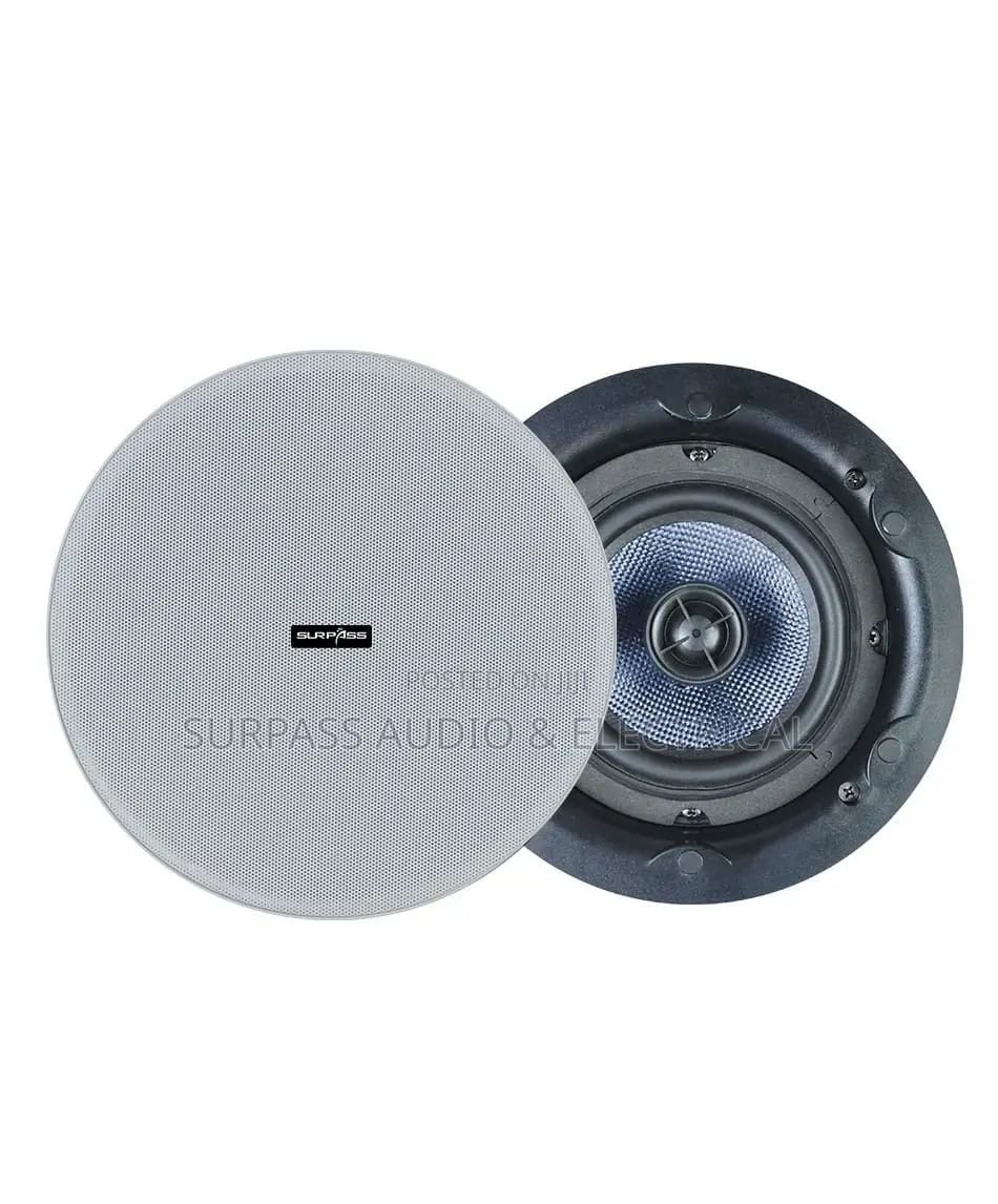 2in1 100watts Bluetooth Loudspeaker