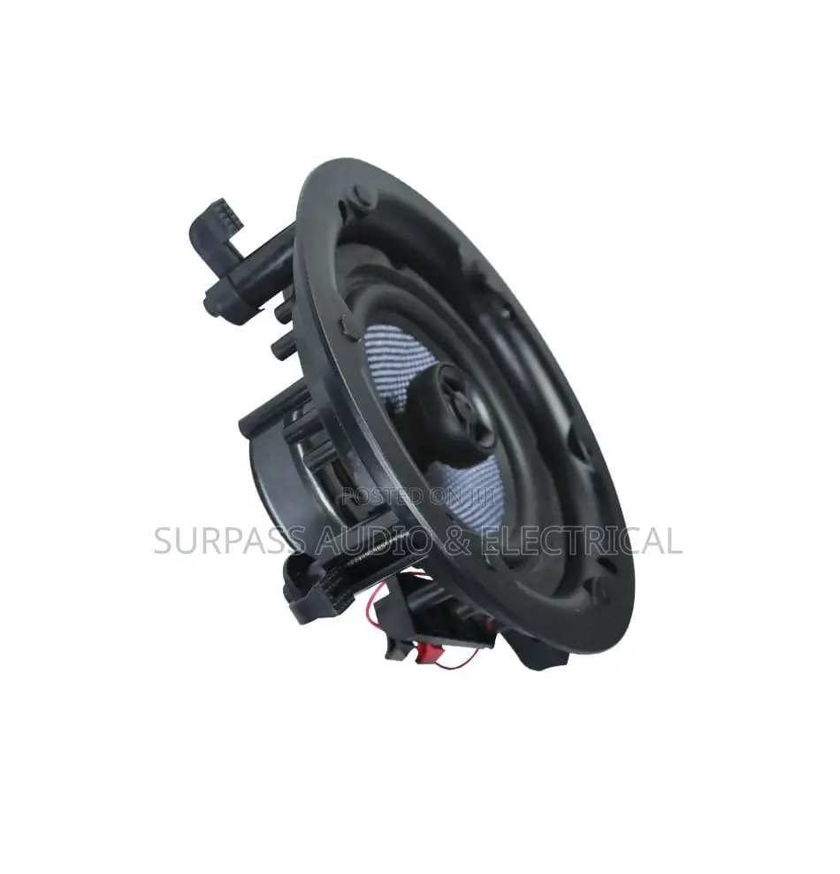 2in1 100watts Bluetooth Loudspeaker