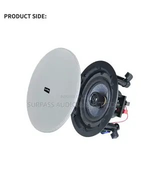 2in1 100watts Bluetooth Loudspeaker