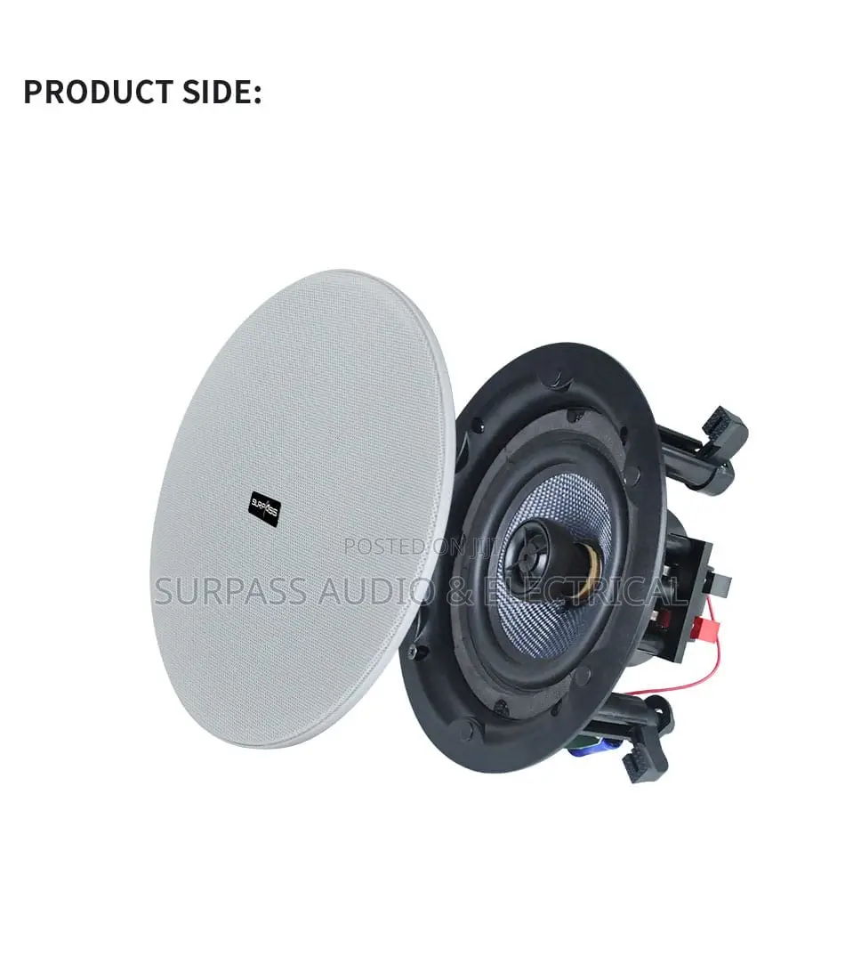 2in1 100watts Bluetooth Loudspeaker
