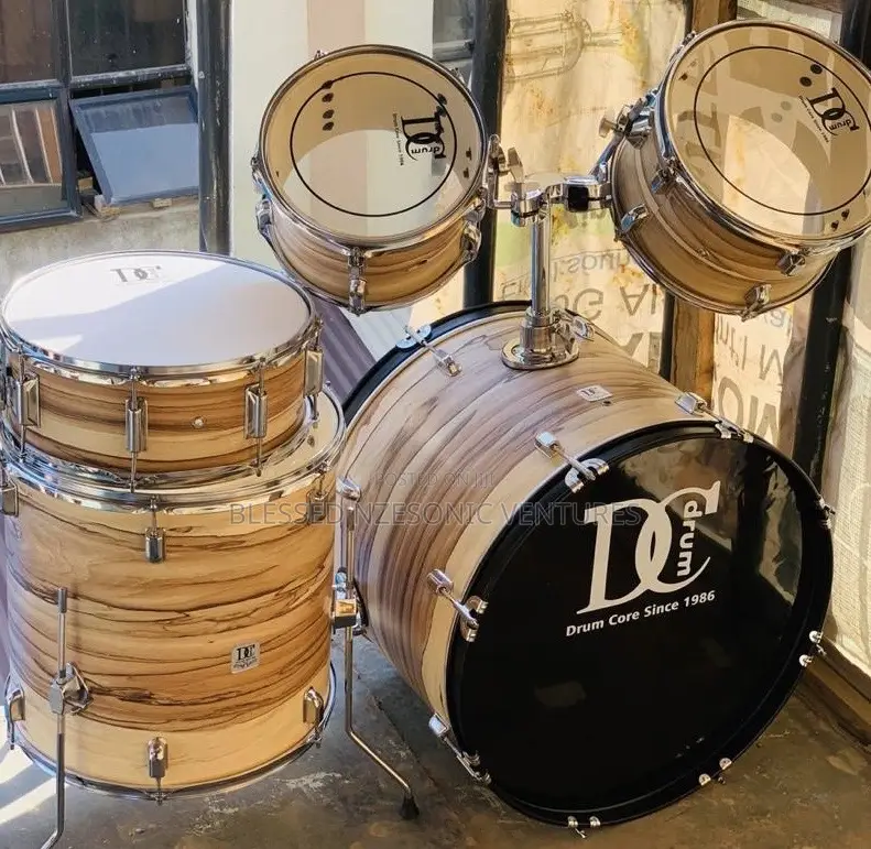 Professional Drum Set