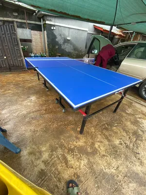 Table Tennis Out Door With Bat