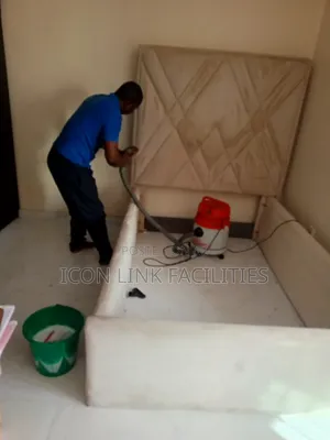 Upholstery and Rugs Cleaning