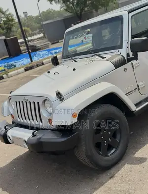 Jeep Wrangler Unlimited Sahara 2010 Silver