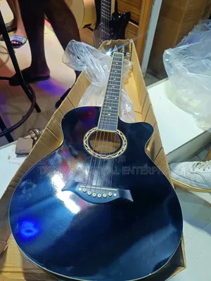 Wellsound Acoustic Guitar