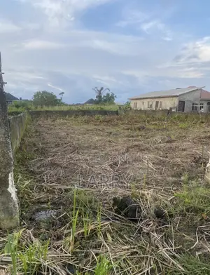 1 Standard Plot 60 by 120 Celes-Imedu Awoyaya I/Lekki