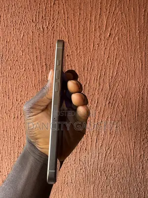Apple iPhone 16 Pro Max 256 GB Silver