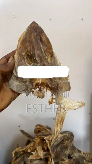 Premium Stock Fish