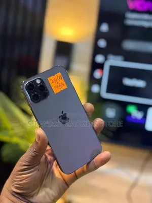 Apple iPhone 12 Pro 256 GB Gray