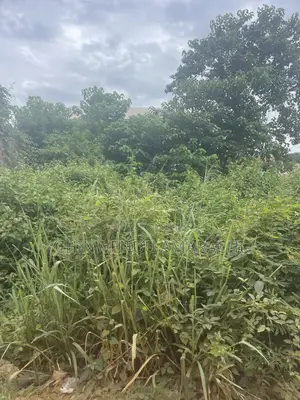 Plots of Land for Sale