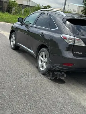 Lexus RX 2010 Gray
