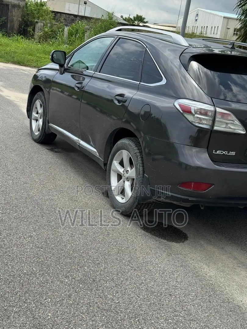 Lexus RX 2010 Gray